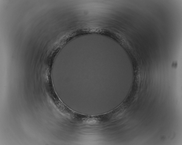 X0000114720643200911121733