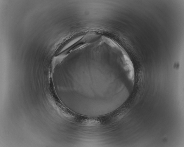 X0000114720644200911121733