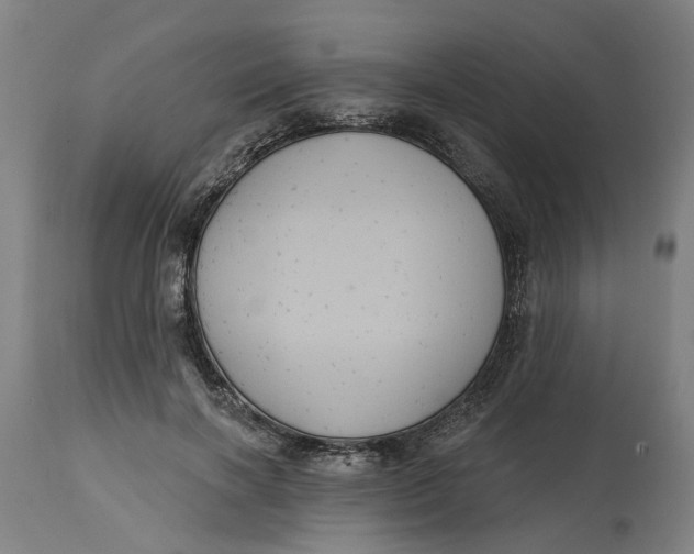 X0000114720646200911121733