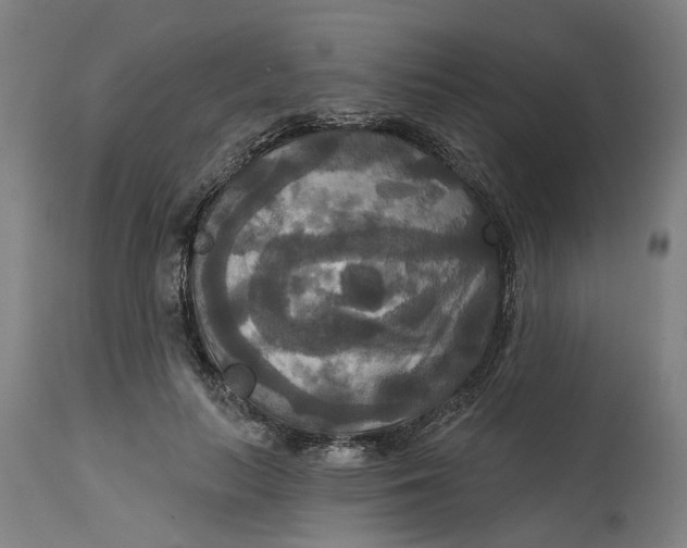 X0000114720647200911121733