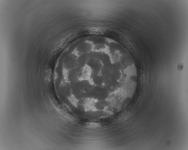 X0000114720649200911121733