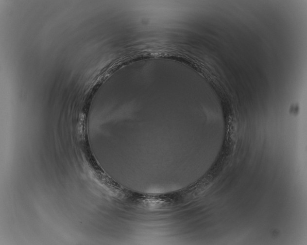 X0000114720650200911121733