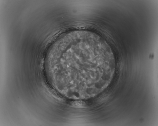 X0000114720652200911121733