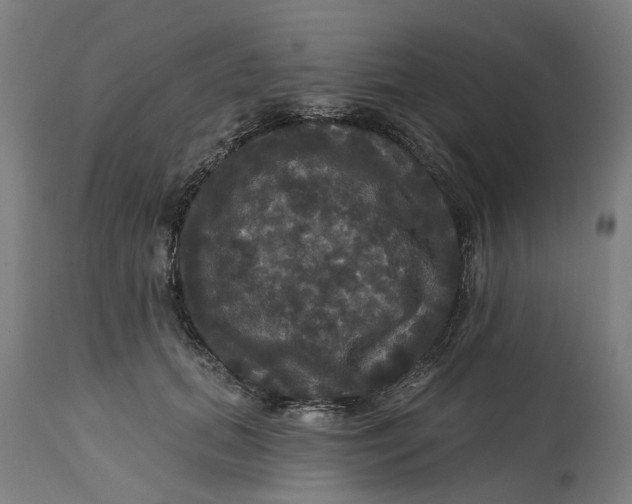 X0000114720655200911121734