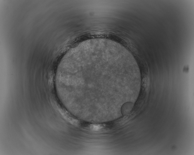 X0000114720662200911121734