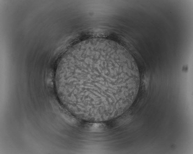 X0000114720663200911121734