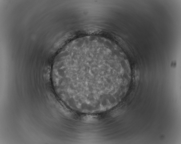 X0000114720664200911121734