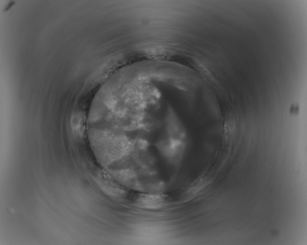 X0000114720671200911121734