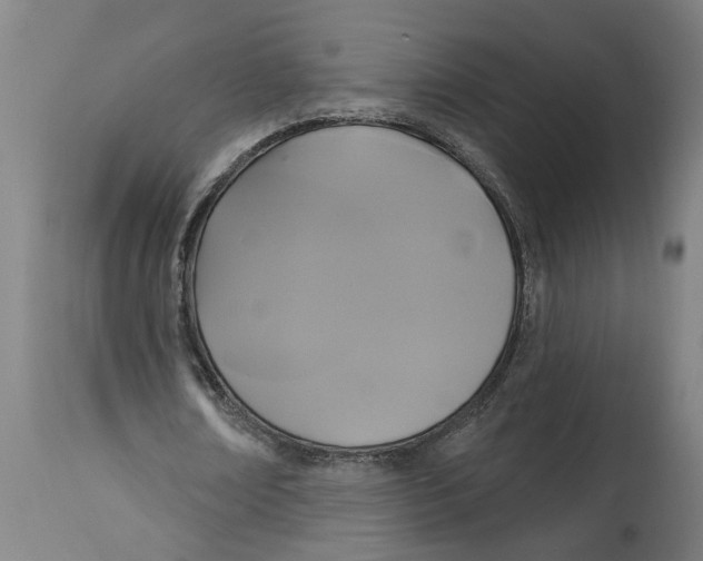 X0000114720674200911121733