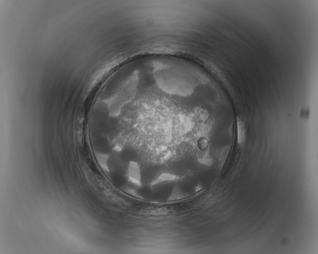 X0000114720675200911121733