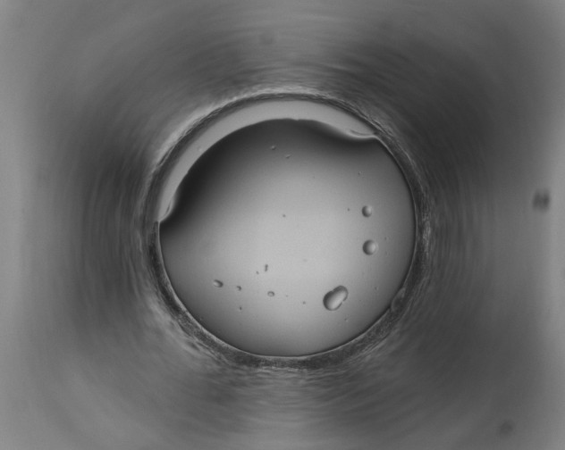 X0000114720676200911121733