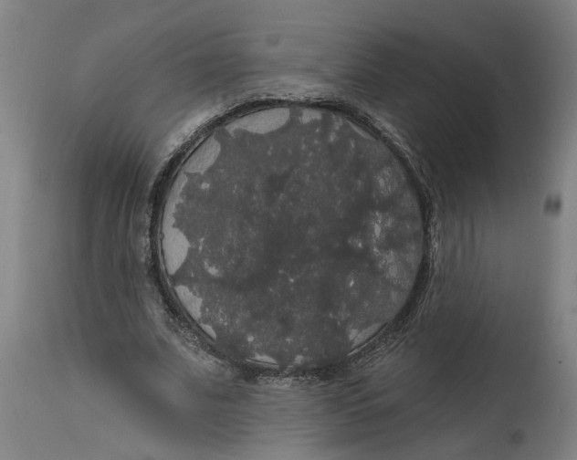 X0000114720679200911121733