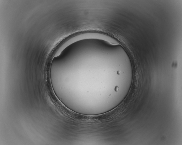 X0000114720680200911121733