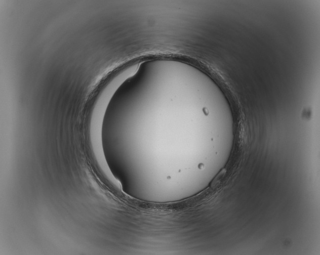 X0000114720684200911121733