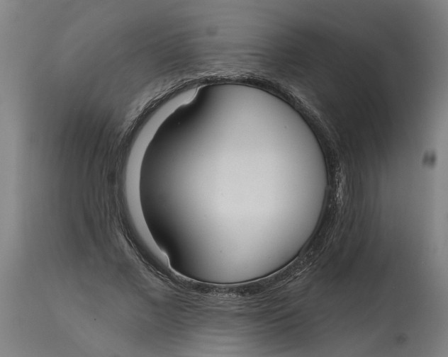 X0000114720685200911121733