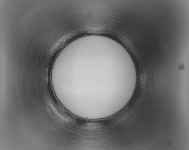 X0000114720686200911121733