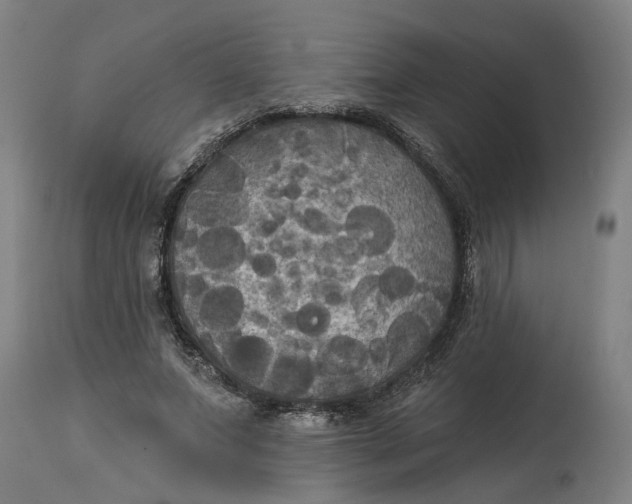 X0000114720687200911121733