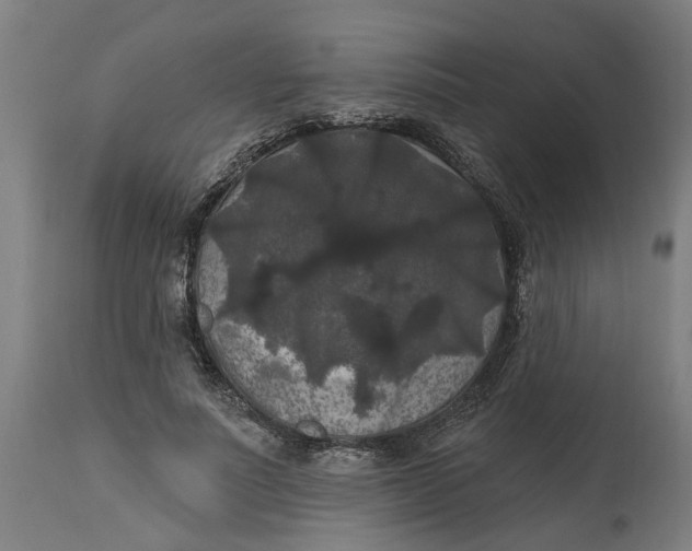 X0000114720691200911121733