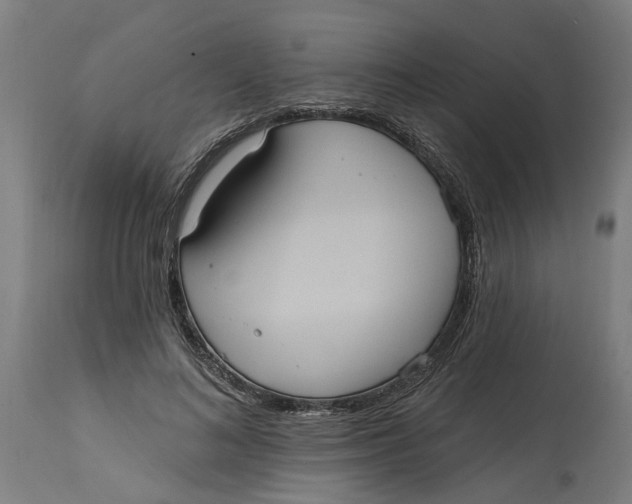 X0000114720692200911121733