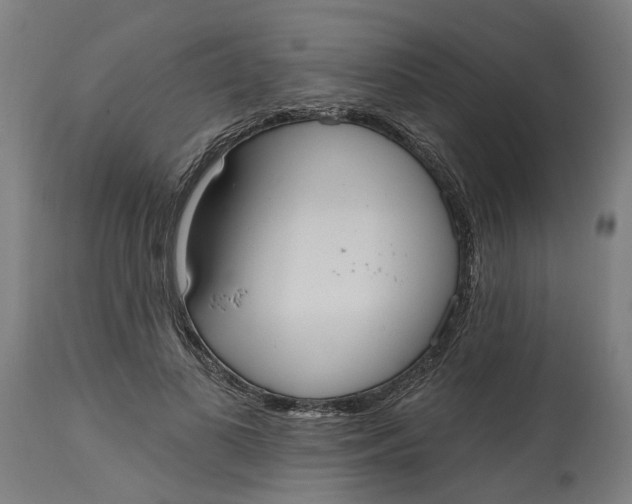 X0000114720693200911121733