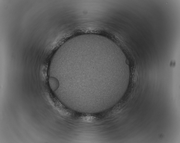 X0000114720695200911121733