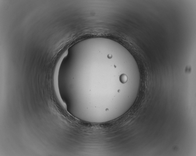 X0000114720696200911121733