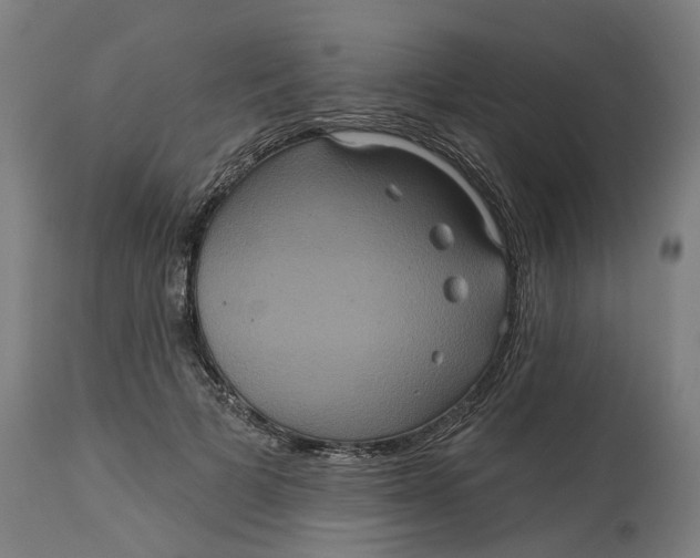 X0000114720697200911121733