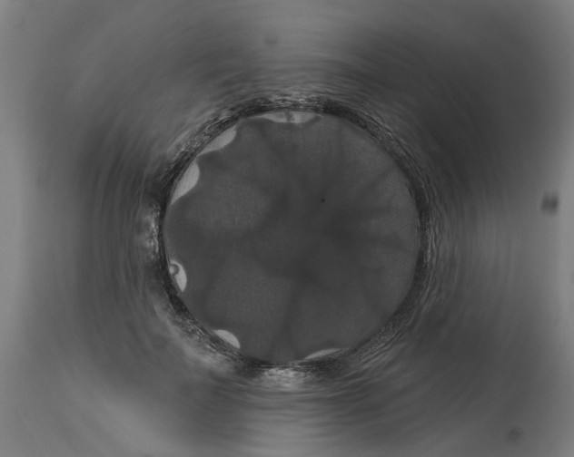 X0000114720699200911121733