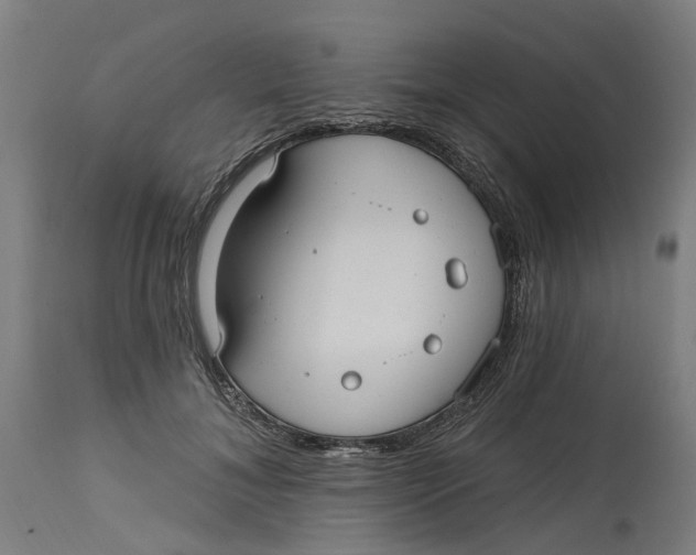 X0000114720700200911121733