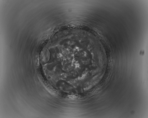 X0000114720703200911121733