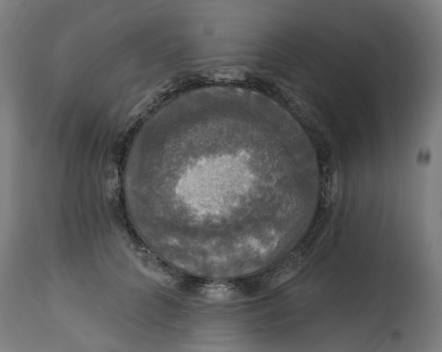 X0000114720704200911121733