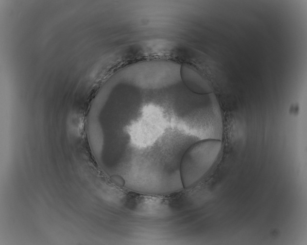 X0000114720709200911121733