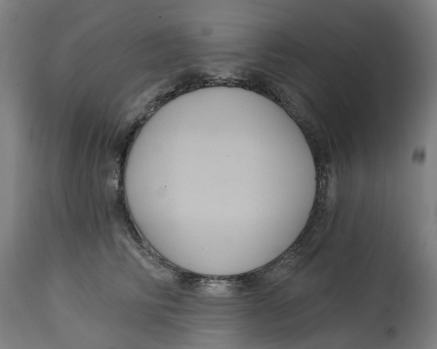 X0000114720710200911121733