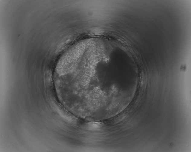 X0000114720711200911121733