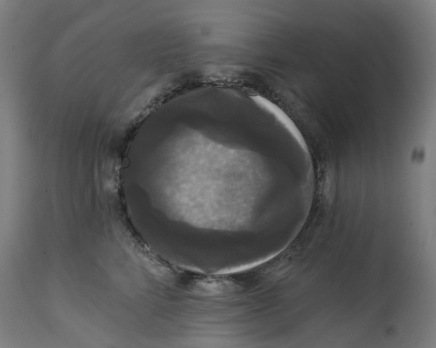 X0000114720712200911121733