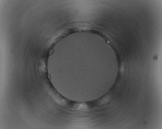 X0000114720715200911121733