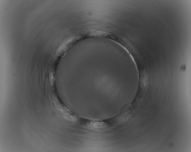 X0000114720716200911121732