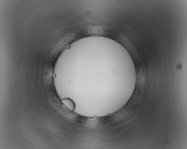 X0000114720717200911121732