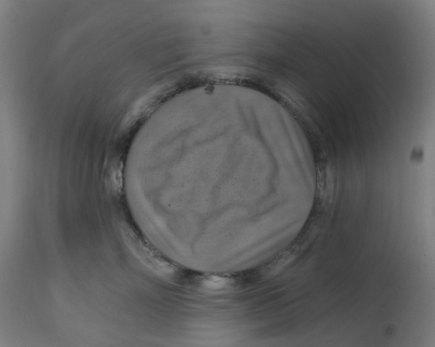 X0000114720718200911121732