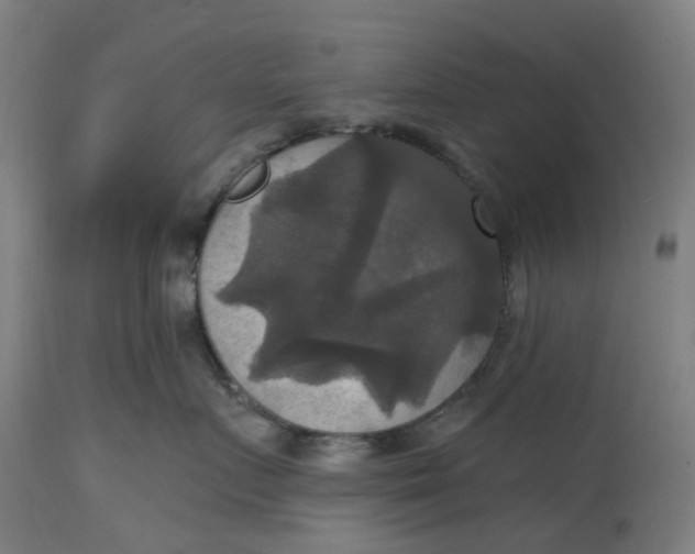 X0000114720719200911121732