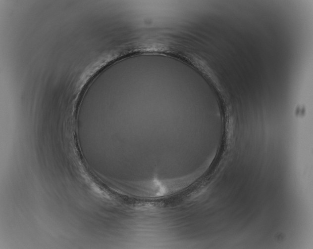 X0000114720721200911121732