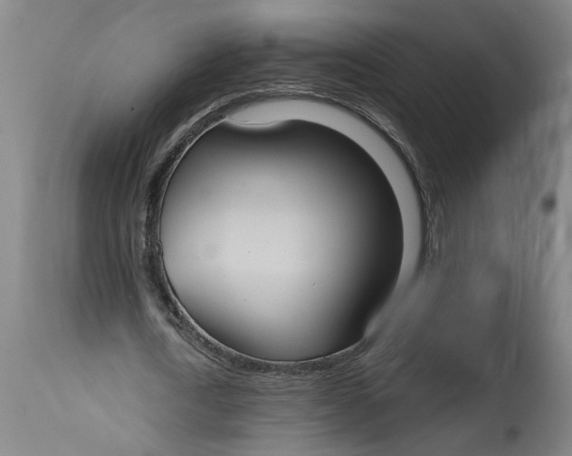 X0000114720722200911121732