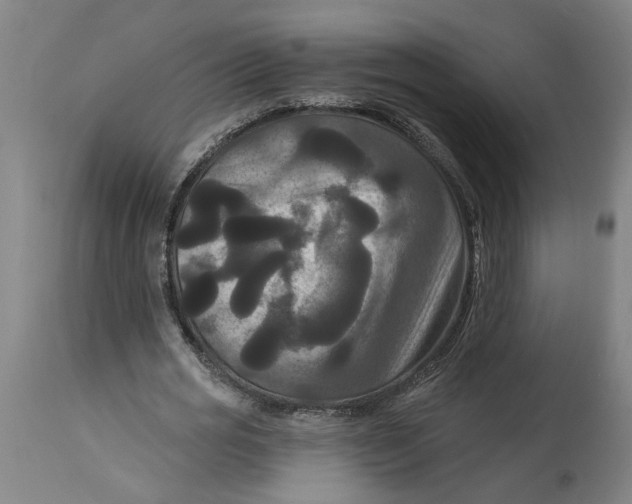 X0000114720725200911121732