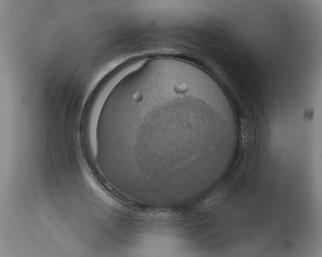 X0000114720726200911121732