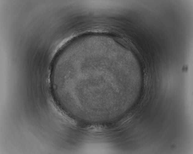 X0000114720727200911121732