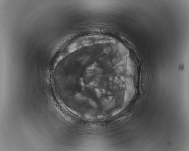 X0000114720729200911121732