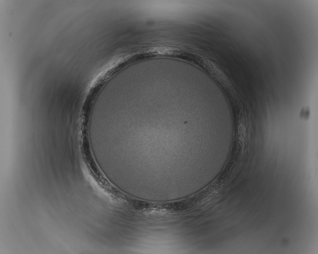 X0000114720730200911121732