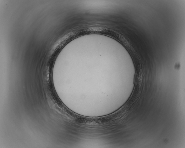 X0000114720731200911121732