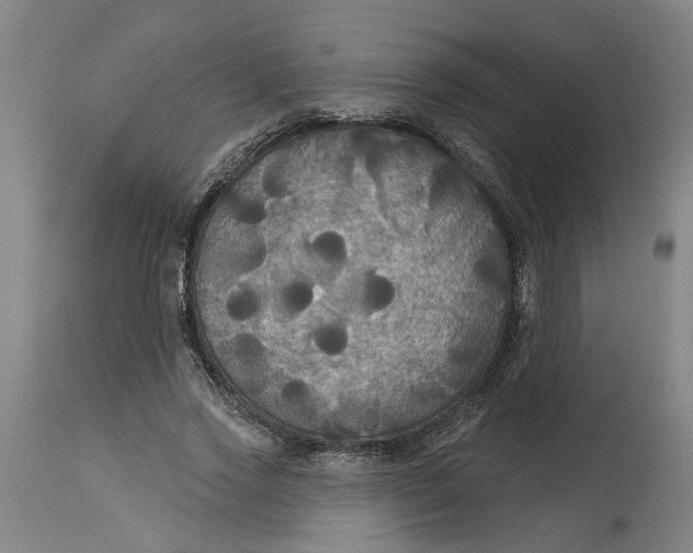 X0000114720733200911121732