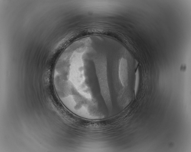 X0000114720735200911121732